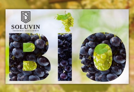 Le vin bio, une tendance de fond confirmée chez Soluvin