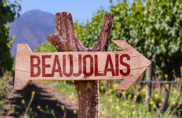 Les exportations redémarrent : le beaujolais retrouve des couleurs