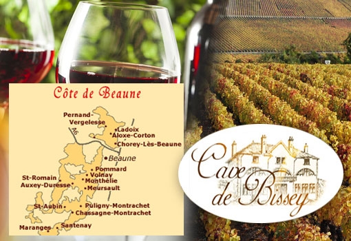 Les Hautes Côtes de Beaune : une région viticole mondialement réputée pour ses vins