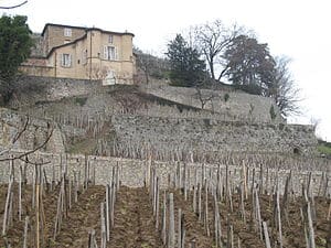 L’homme d’affaires François Pinault s’offre Château Grillet