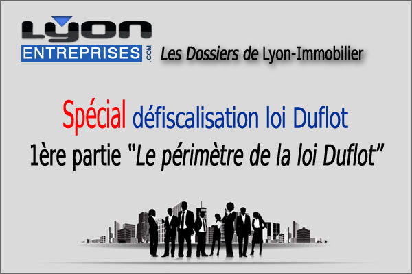 Loi de défiscalisation immobilière Duflot (partie 1) – Le périmètre de la loi