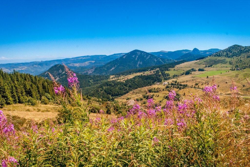 Qualité de l’air en Auvergne-Rhône-Alpes : du mieux en 2019, mais…