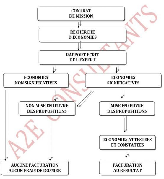 organigramme d'une mission type optimisation sociale