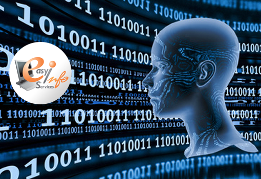 Pour gagner en productivité, confiez la saisie de données à Easy Info Services