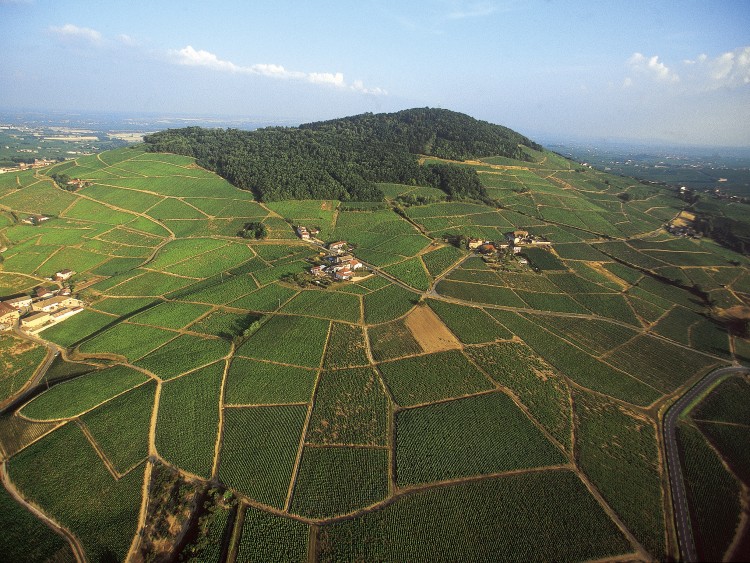 Septième site en France labellisé : le Beaujolais accède au rang de « Géoparc mondial de l’Unesco »