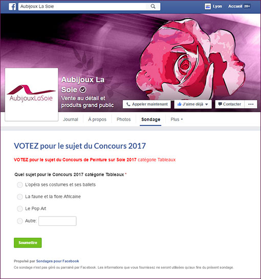 sondage Facebook : Quel est le sujet du concours 2017 ? A vous de choisir !