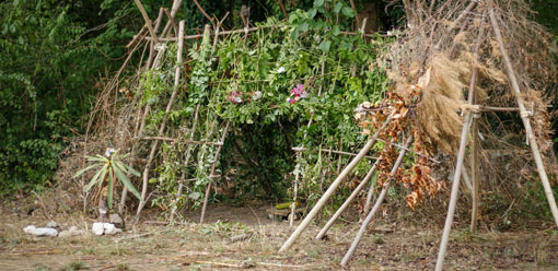 Les survivants de l'Iloz : tester les capacités d'adaptation - activité entreprises du Grand Parc 