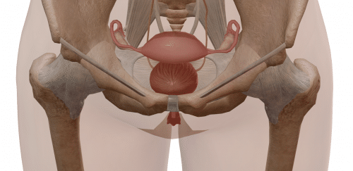 Traitement médical des ovaires avec la MAGNOMEGA-THERAPIE®