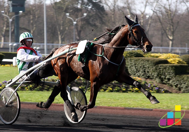 Le trot est la seule course où le cavalier n'est pas sur le cheval