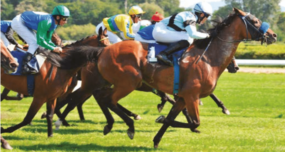 Un jour aux courses, un événement BtoB aux hippodromes lyonnais !