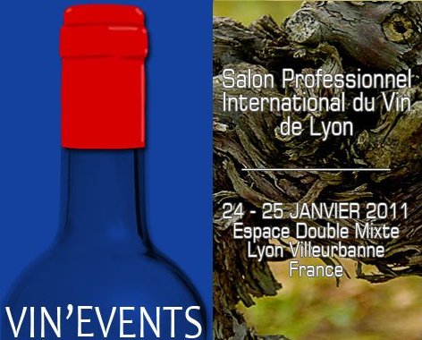 Un salon professionnel du vin au Double Mixte: Vin’events