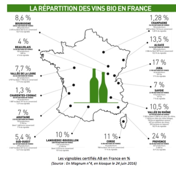 Vins bio : 4 % dans le Beaujolais, 10,4 % dans les Côtes-du-Rhône