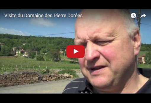 Visite du Domaine des Terres Dorées avec Jean-Paul Brun – by Soluvin